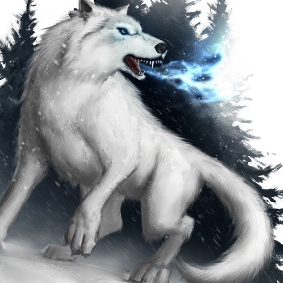 Poshmark profile picture for @crucible